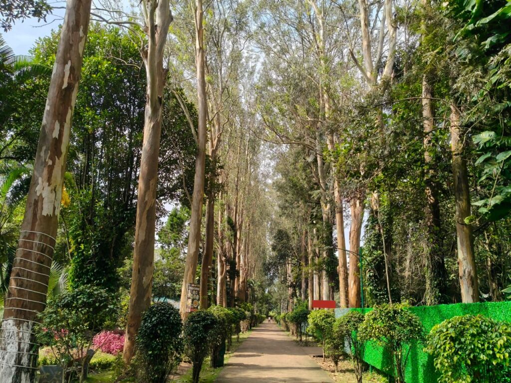 padmapuram gardens araku valley