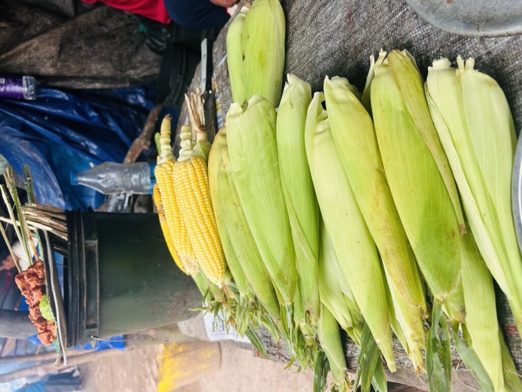 Araku Sweet corn