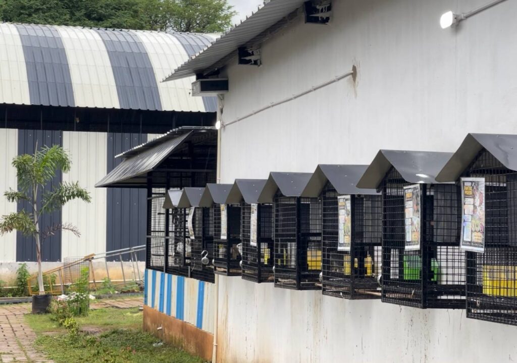 Pets and Wings Araku Valley