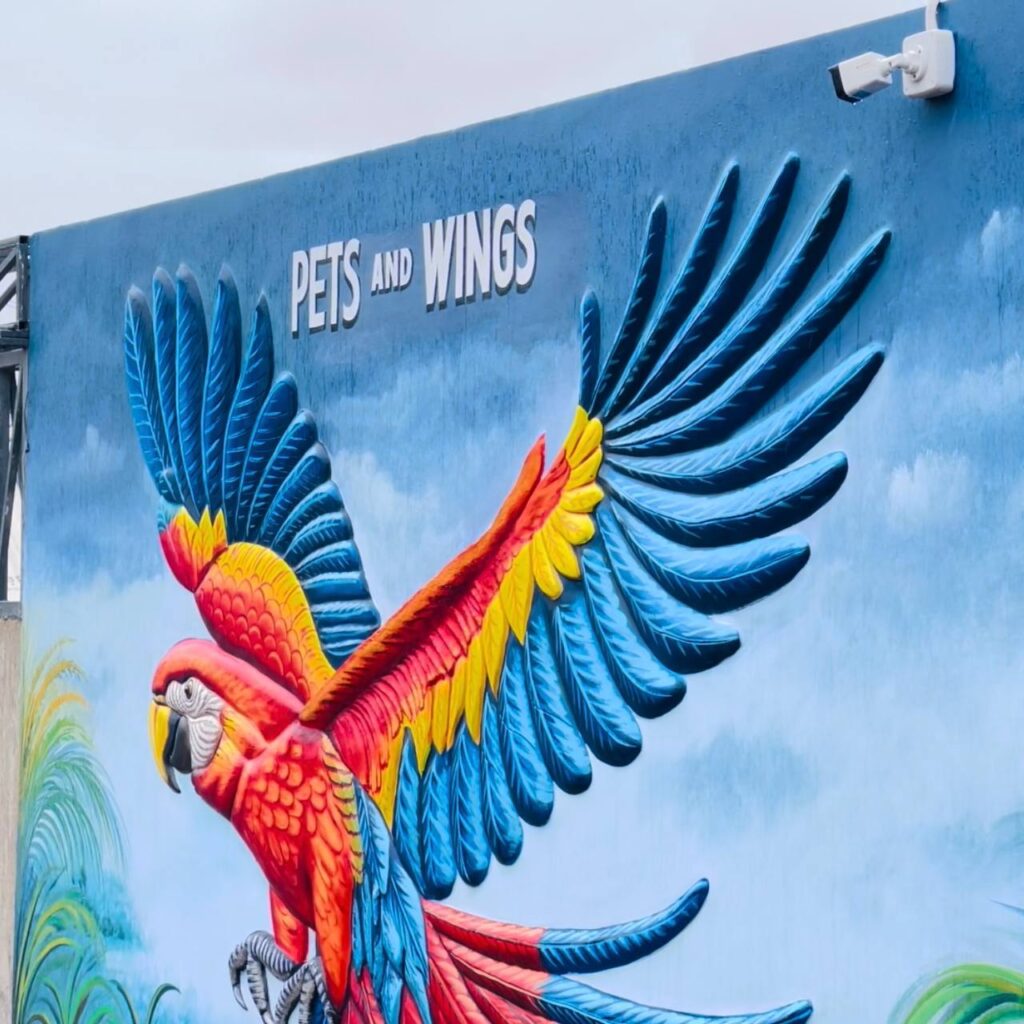 Pets and Wings Araku Valley